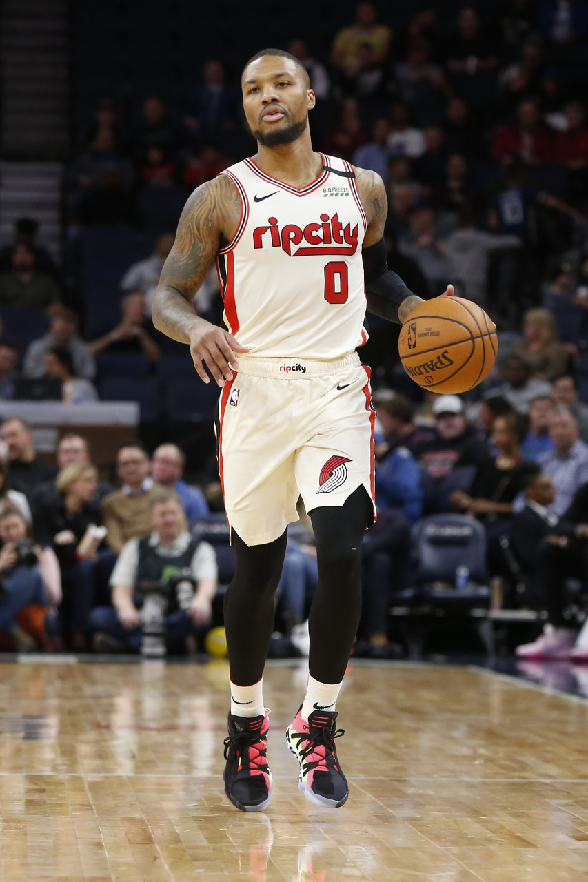 是巴西的象 是巴西的象